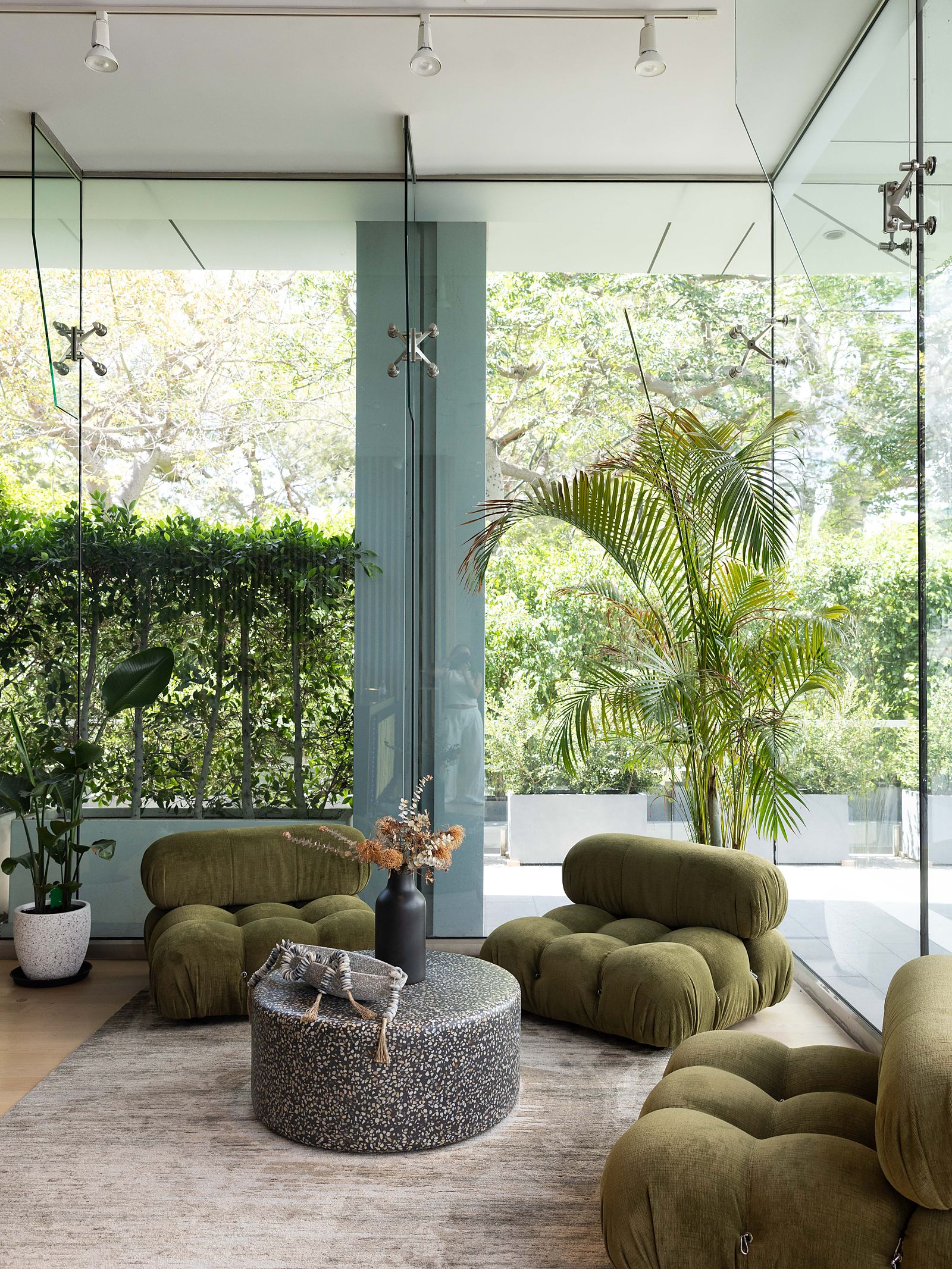 The sunlit lounge at the Citrin Longevity clinic in West Hollywood, Los Angeles
