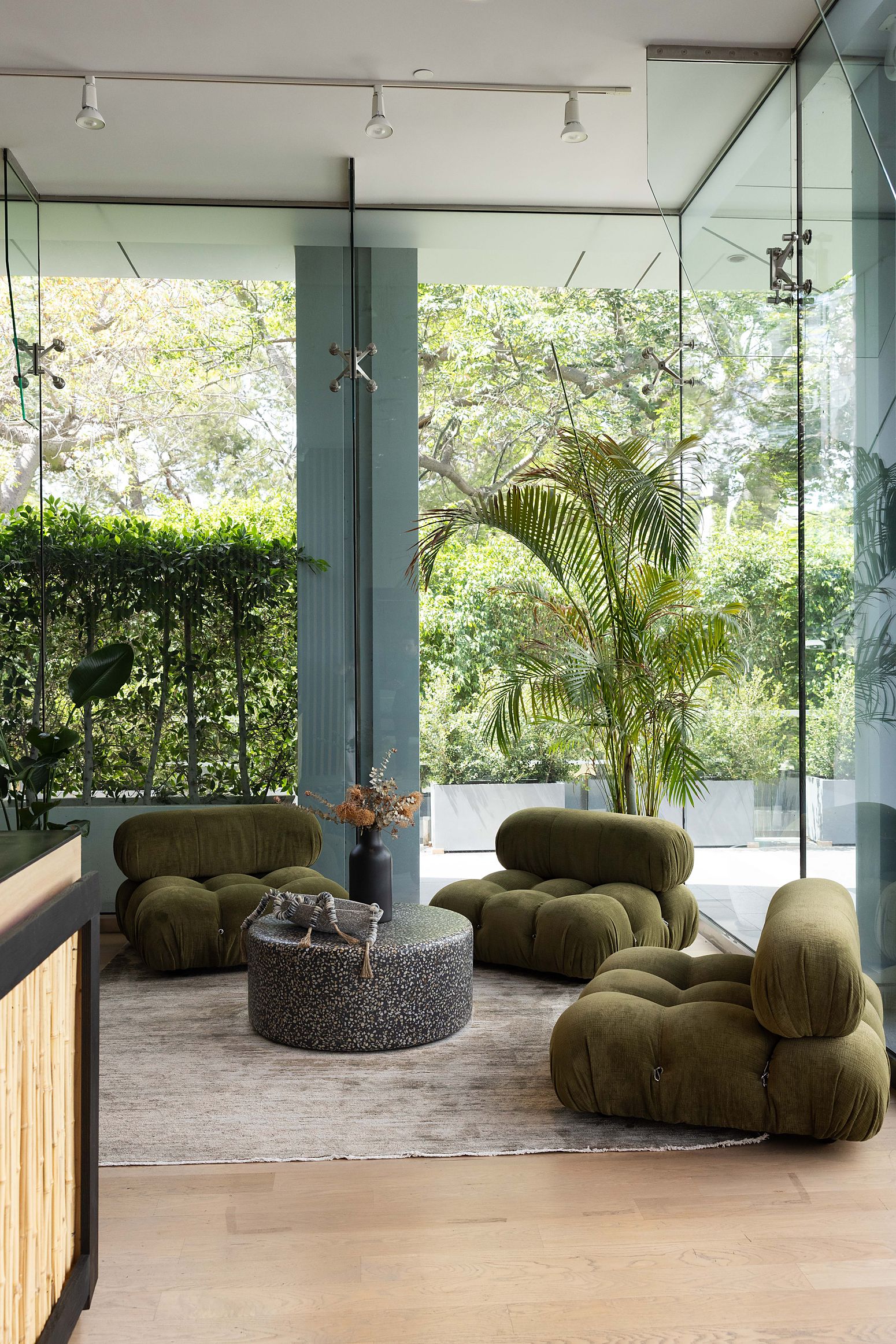 The sunlit lounge where members relax at the Citrin Longevity clinic in West Hollywood, Los Angeles